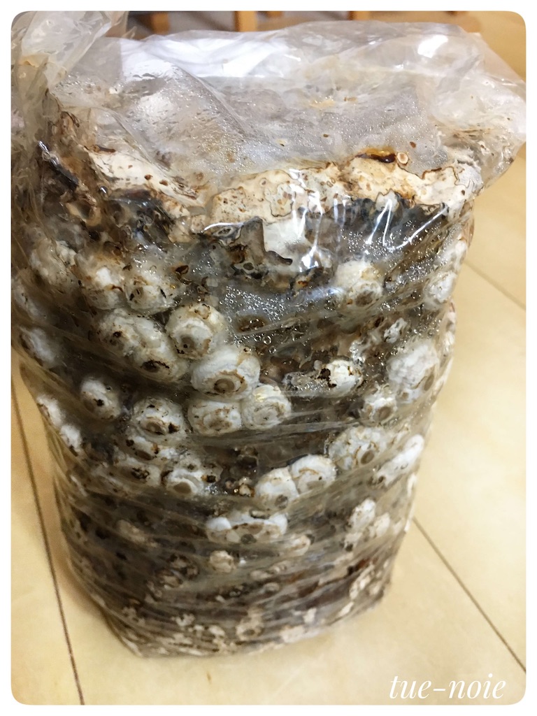 f:id:tueko:20210131191552j:image f:id:tueko:20210131191552j:image