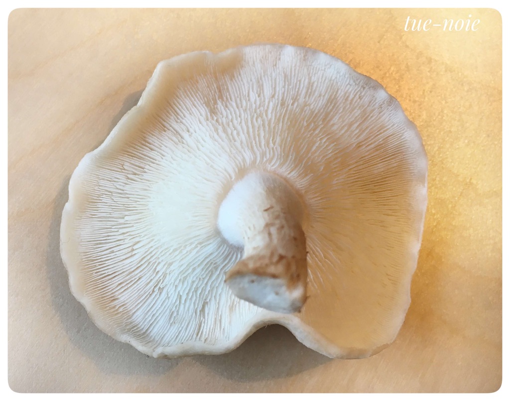 f:id:tueko:20210131191602j:image f:id:tueko:20210131191602j:image