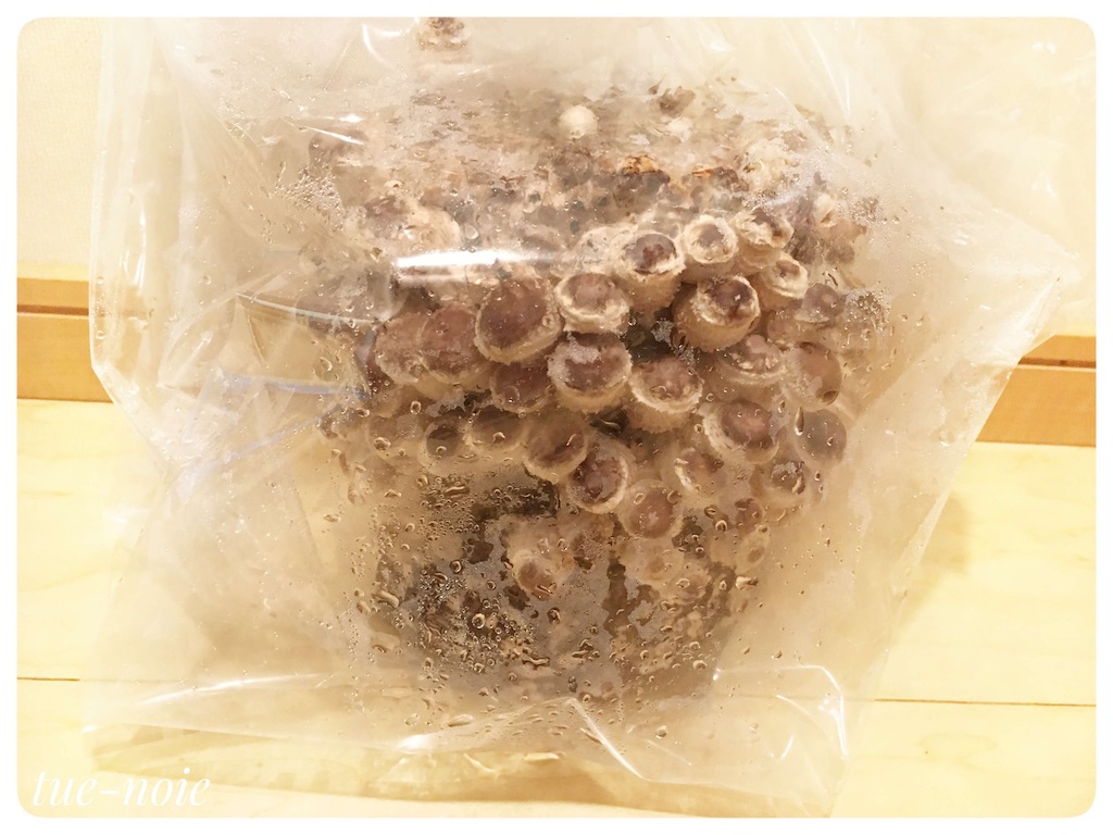 f:id:tueko:20210131191610j:image f:id:tueko:20210131191610j:image