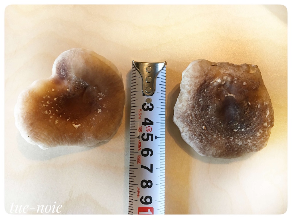 f:id:tueko:20210131191615j:image f:id:tueko:20210131191615j:image