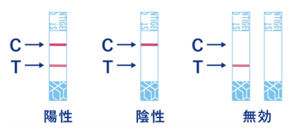 f:id:tueko:20210819220213j:image f:id:tueko:20210819220213j:image