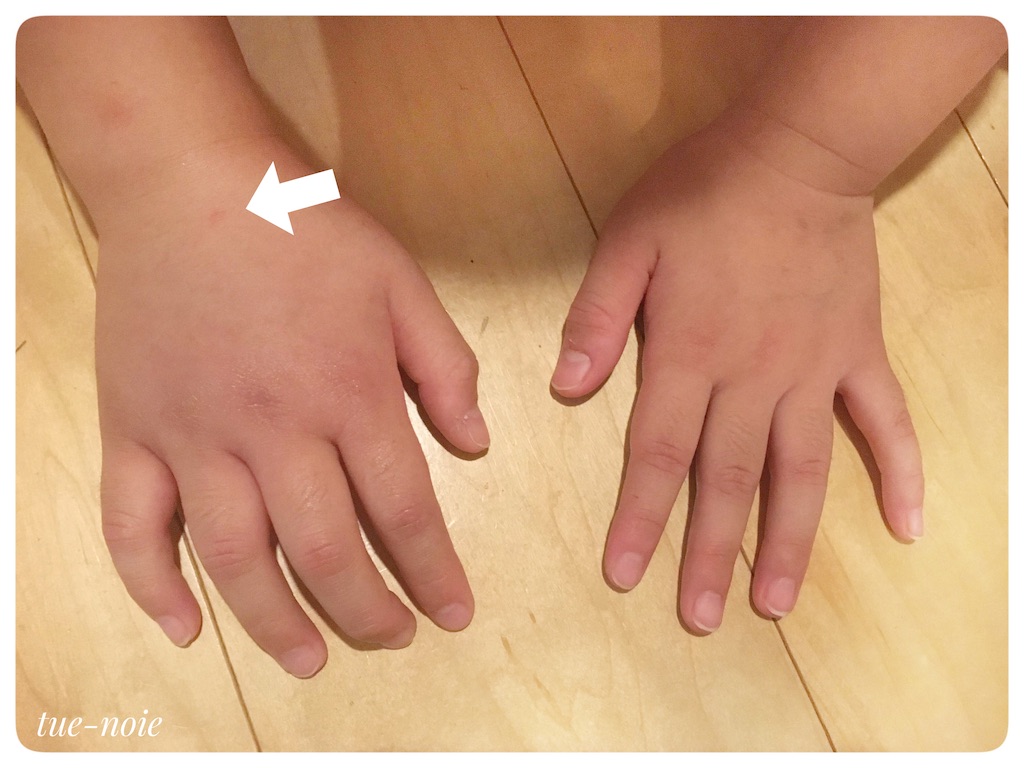 f:id:tueko:20211009234505j:image f:id:tueko:20211009234505j:image