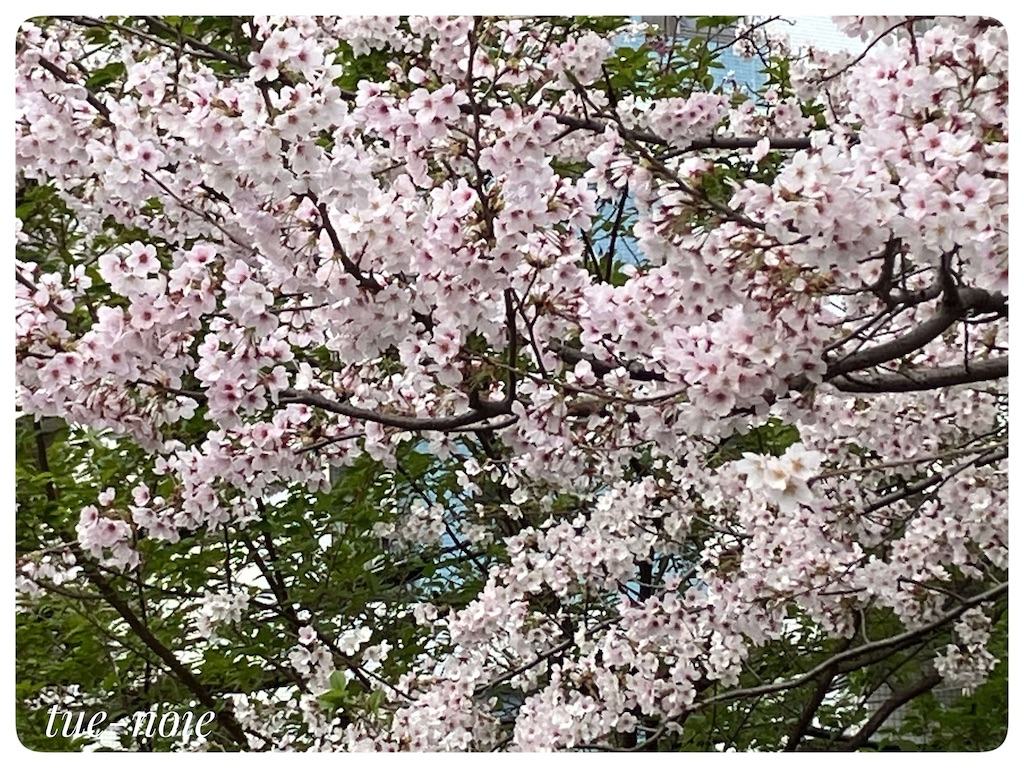 f:id:tueko:20220408232025j:image
