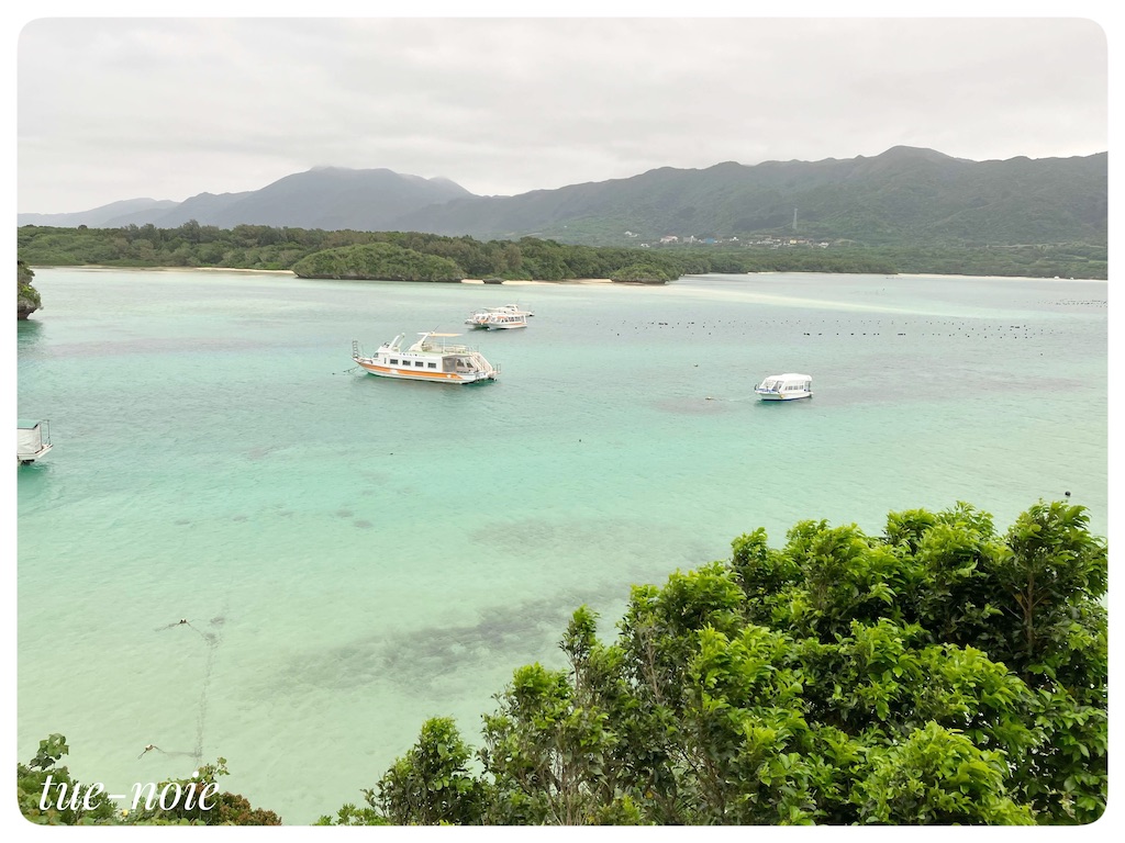 f:id:tueko:20220503124337j:image f:id:tueko:20220503124337j:image