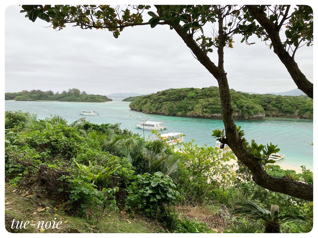 f:id:tueko:20220503124849j:image f:id:tueko:20220503124849j:image