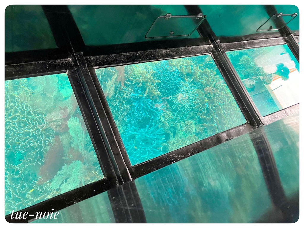 f:id:tueko:20220503132534j:image f:id:tueko:20220503132534j:image