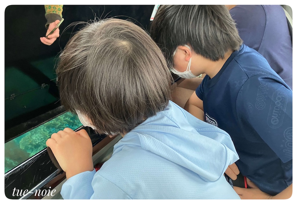 f:id:tueko:20220503221245j:image f:id:tueko:20220503221245j:image