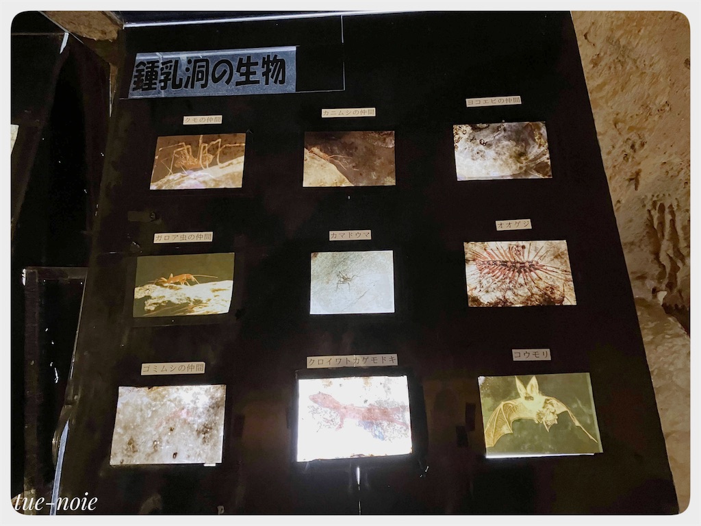 f:id:tueko:20220503225148j:image f:id:tueko:20220503225148j:image