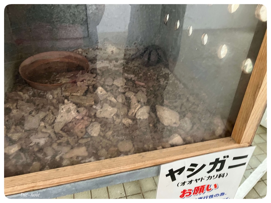 f:id:tueko:20220503225202j:image f:id:tueko:20220503225202j:image