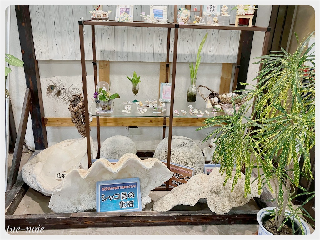 f:id:tueko:20220504005052j:image f:id:tueko:20220504005052j:image