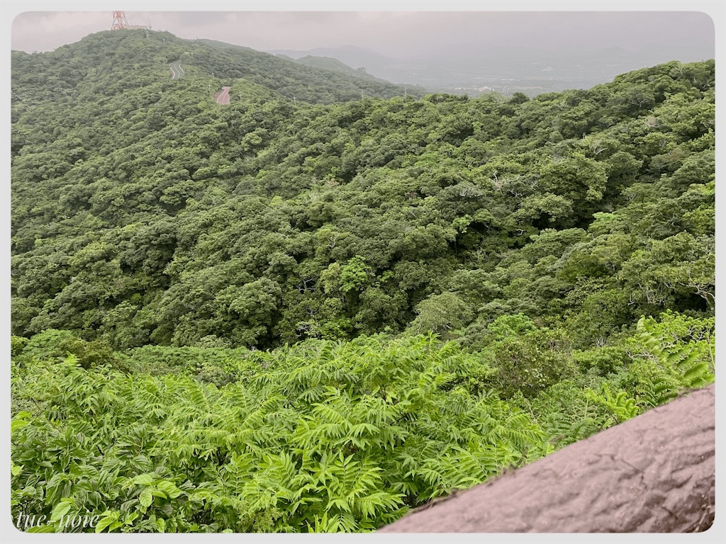 f:id:tueko:20220504010334j:image f:id:tueko:20220504010334j:image