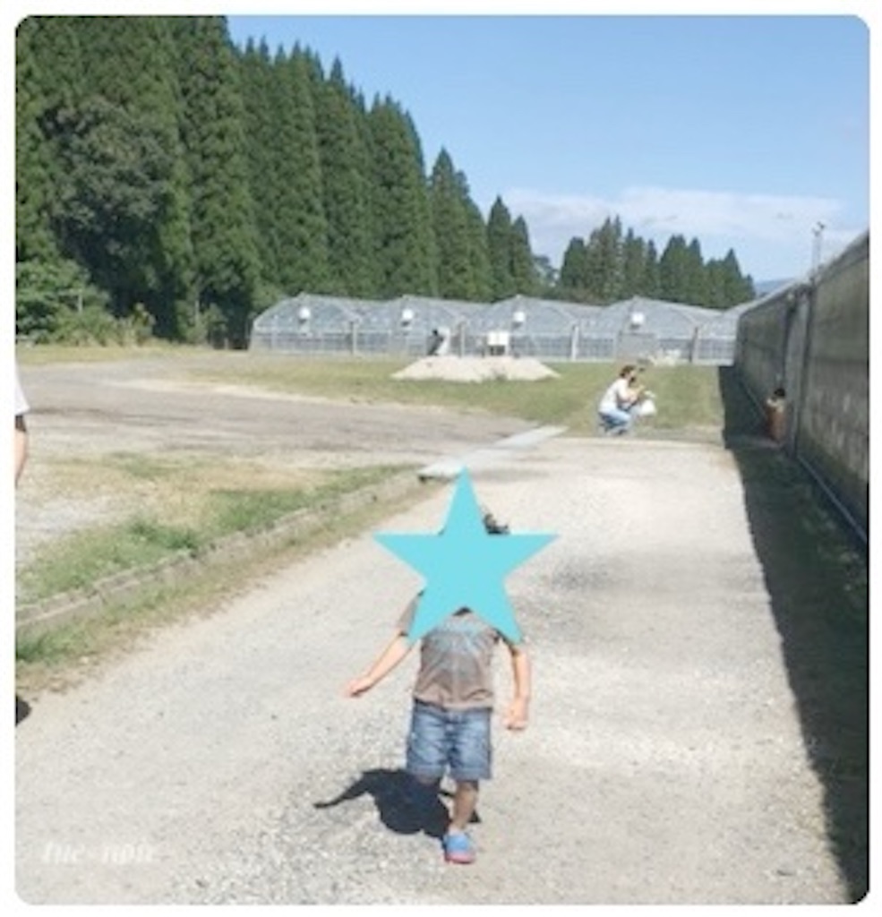 f:id:tueko:20220924181908j:image