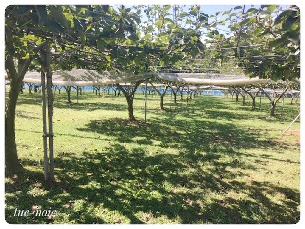 f:id:tueko:20220924182320j:image