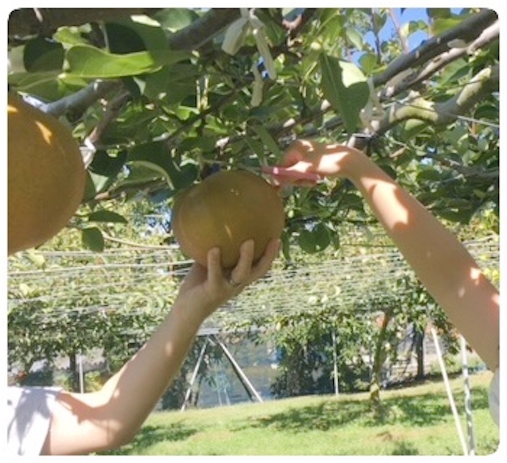 f:id:tueko:20220924182323j:image