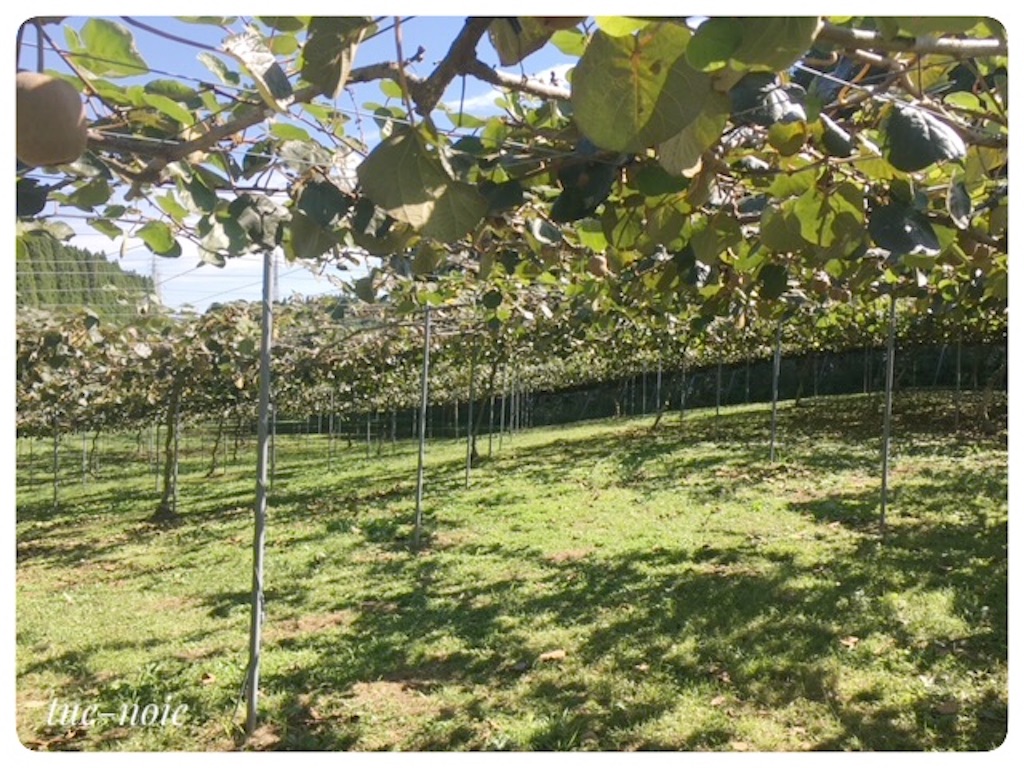 f:id:tueko:20220924182757j:image