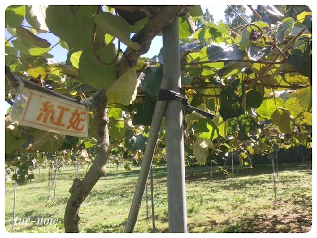 f:id:tueko:20220924182806j:image