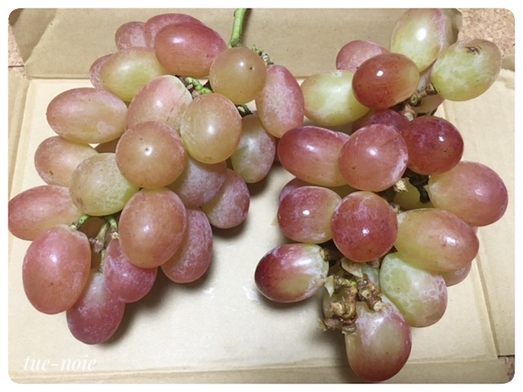 f:id:tueko:20220924200336j:image