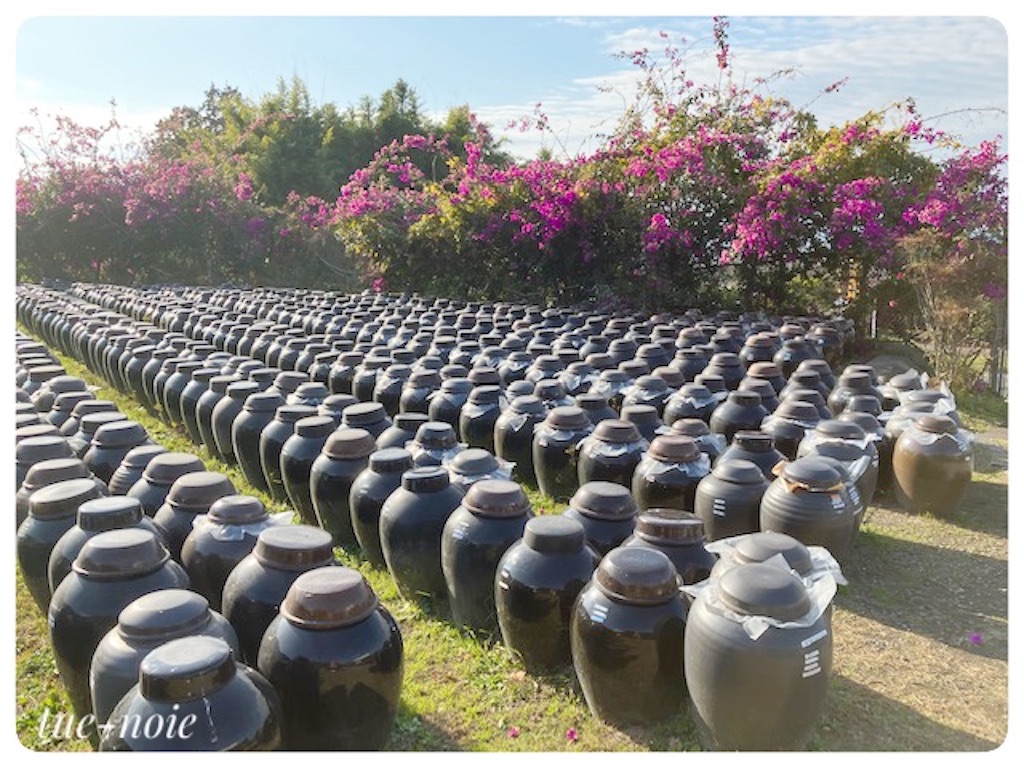 f:id:tueko:20230304214130j:image