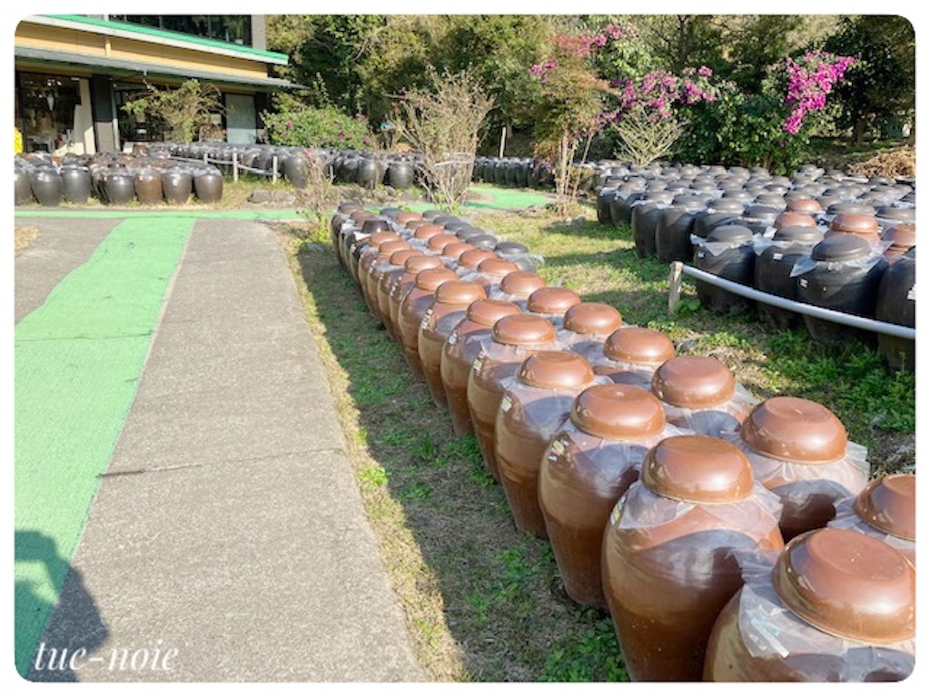 f:id:tueko:20230305000413j:image