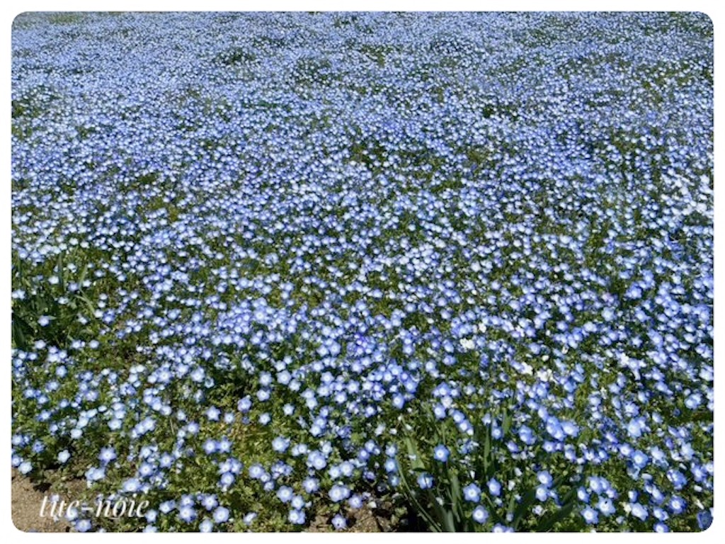 f:id:tueko:20230506115605j:image