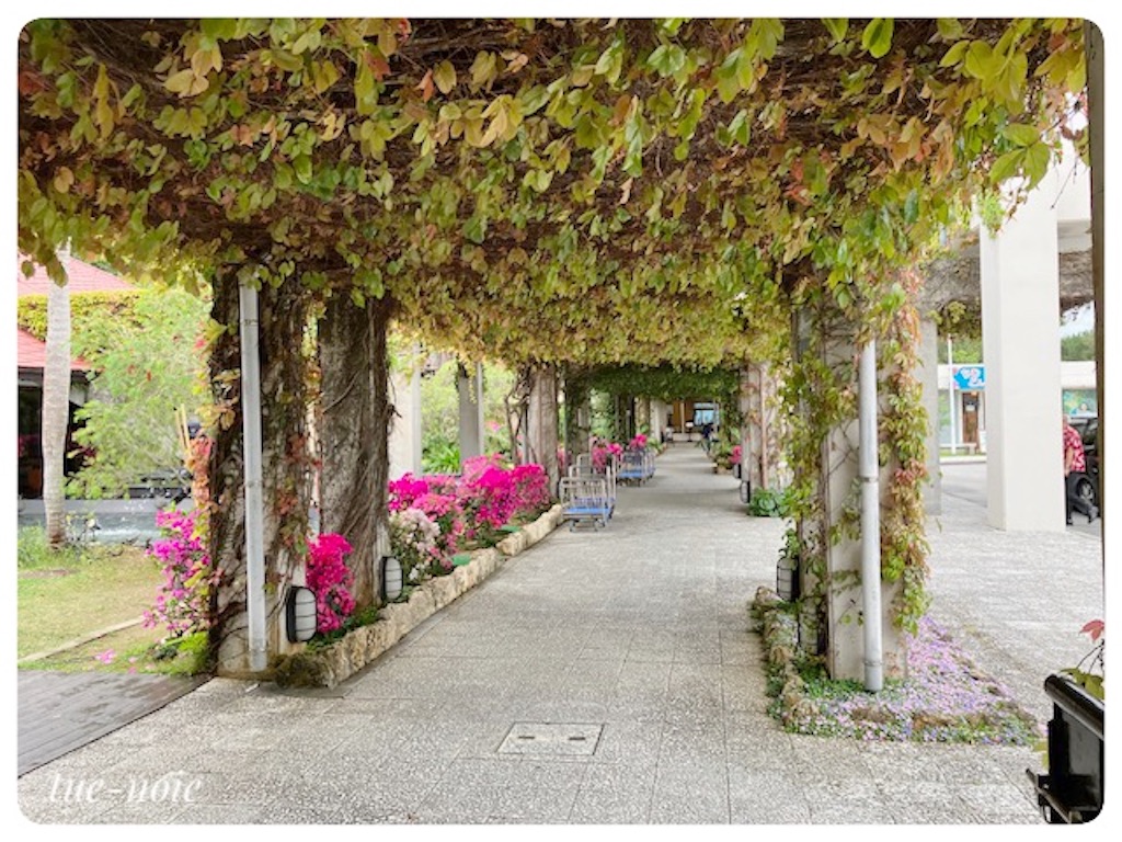 f:id:tueko:20230513110043j:image f:id:tueko:20230513110043j:image