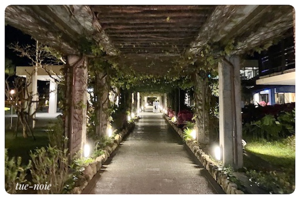 f:id:tueko:20230513110531j:image f:id:tueko:20230513110531j:image