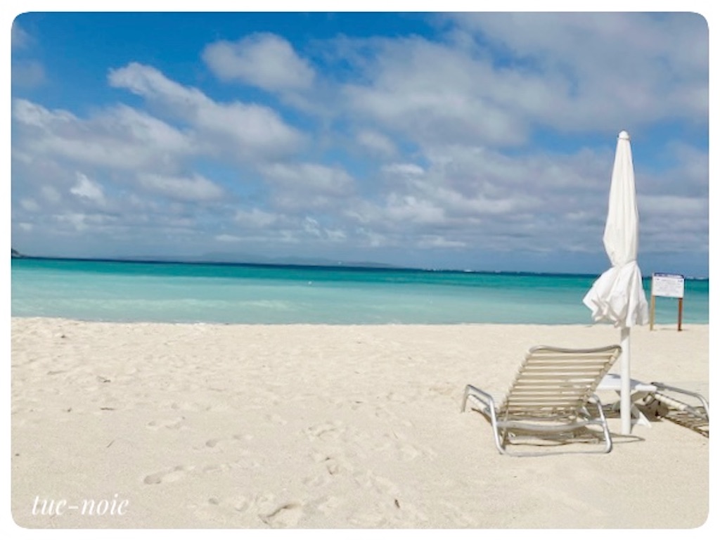 f:id:tueko:20230513132029j:image f:id:tueko:20230513132029j:image