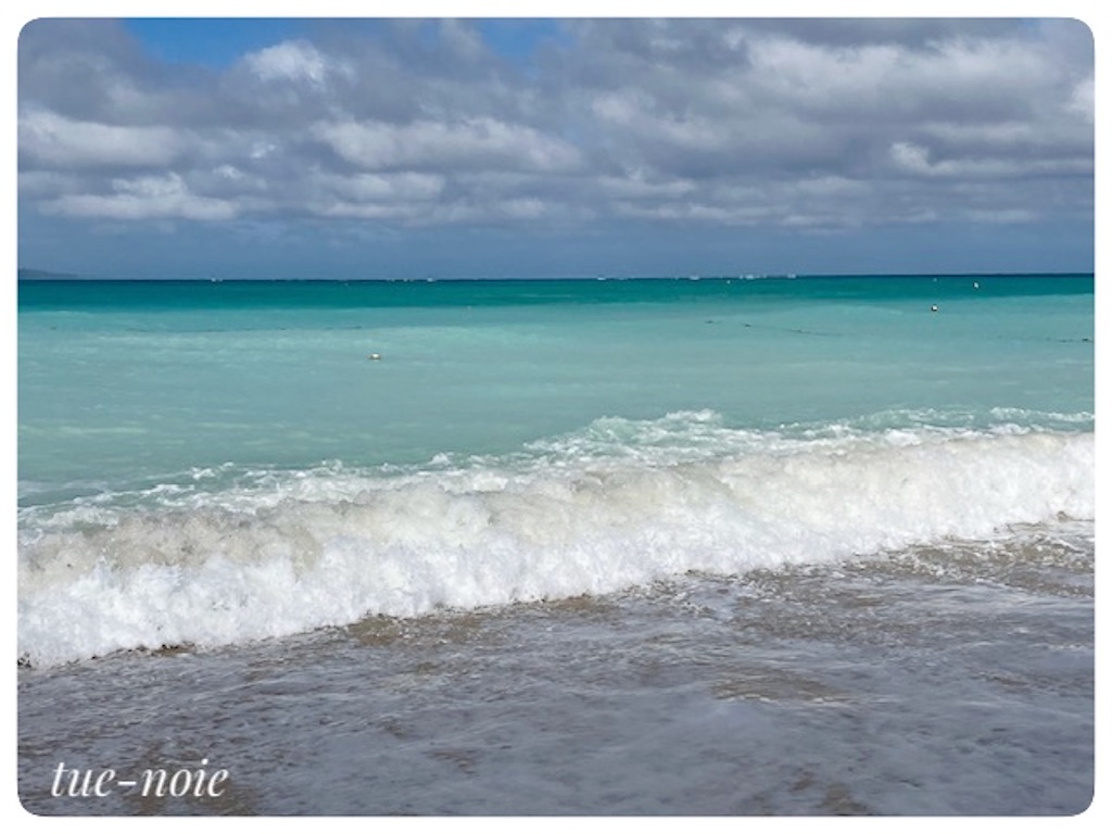 f:id:tueko:20230513132500j:image f:id:tueko:20230513132500j:image