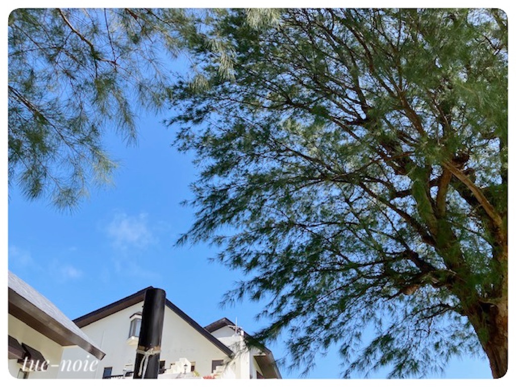 f:id:tueko:20230513175828j:image f:id:tueko:20230513175828j:image