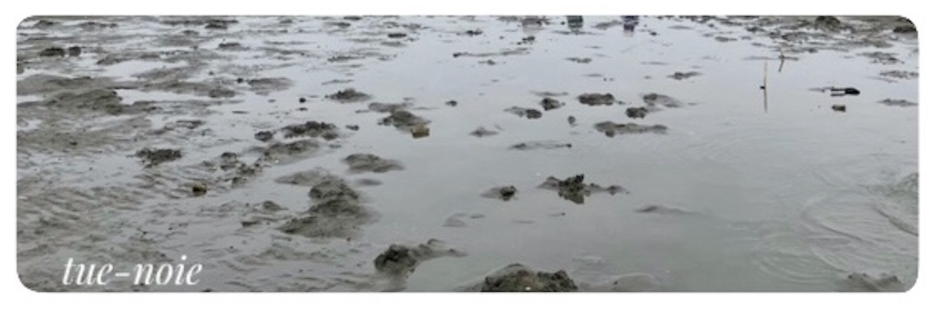 f:id:tueko:20230526213650j:image