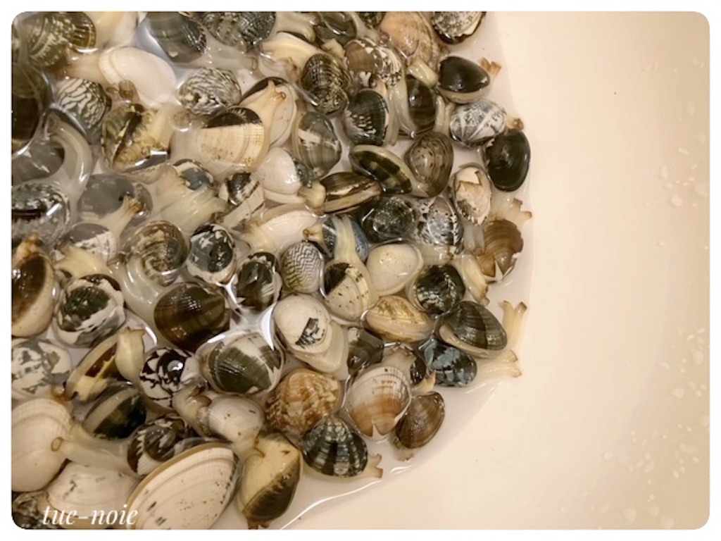 f:id:tueko:20230527090147j:image