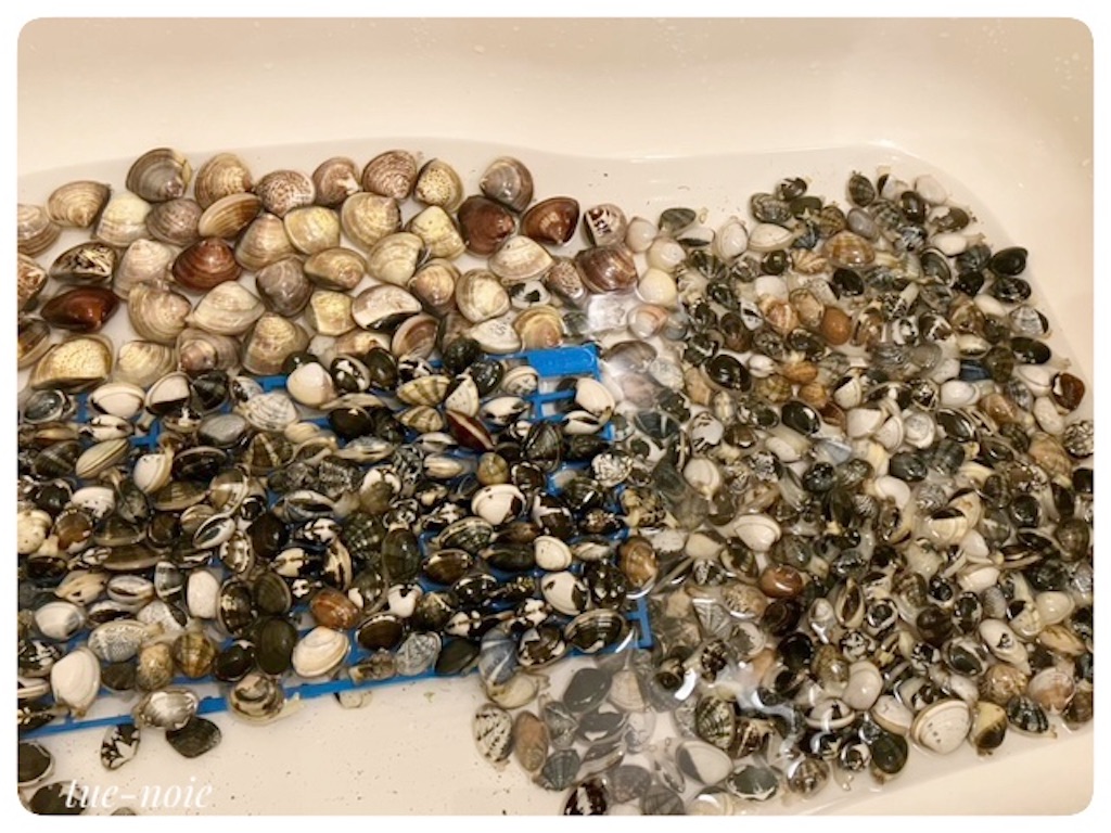 f:id:tueko:20230527090150j:image