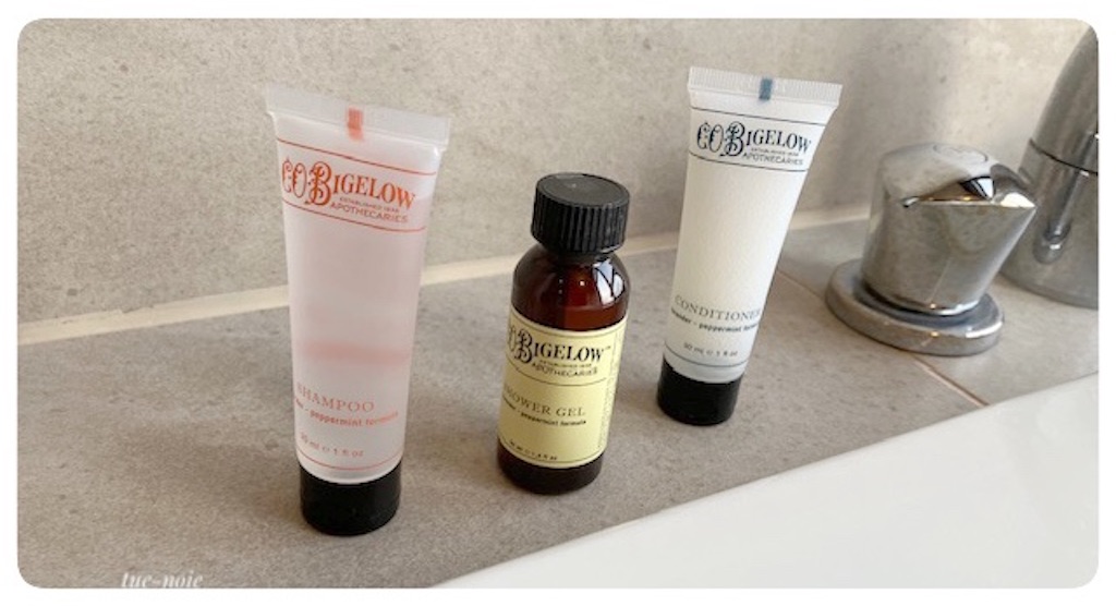 f:id:tueko:20230610055515j:image