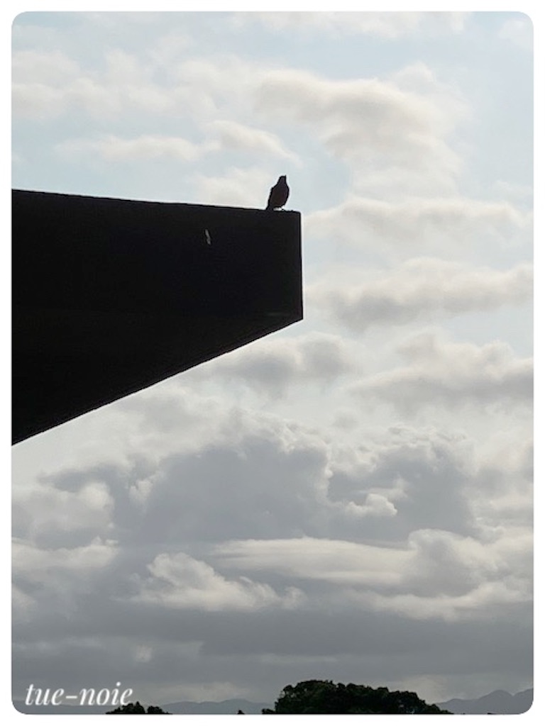 f:id:tueko:20230610112013j:image