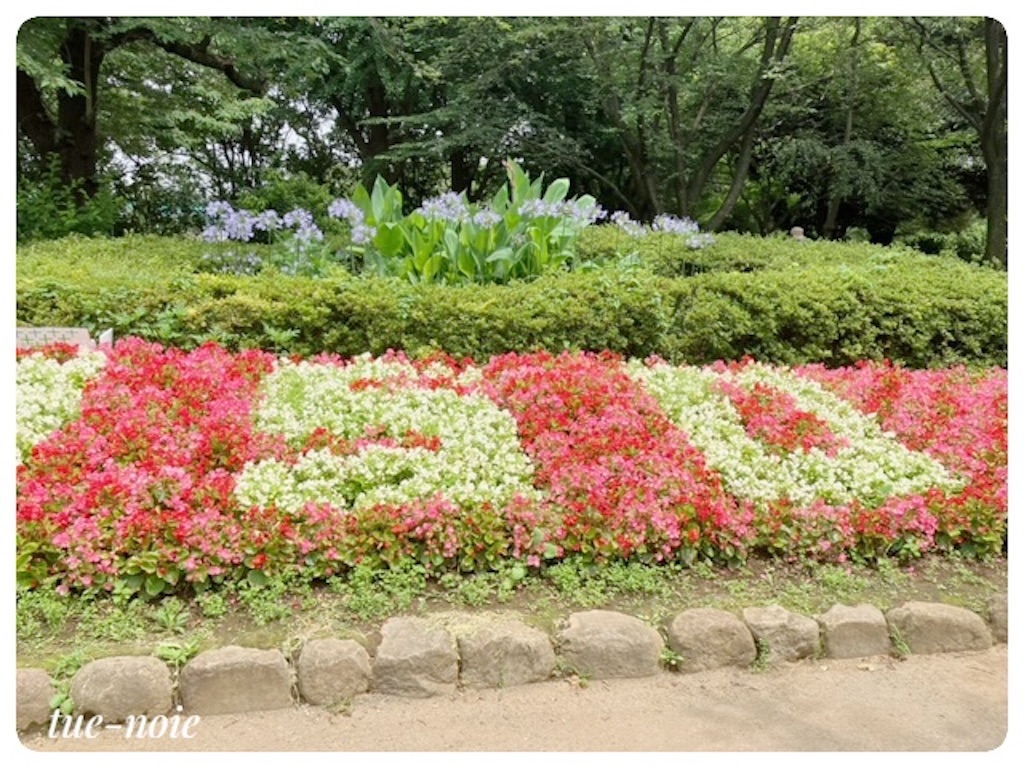 f:id:tueko:20230618231538j:image