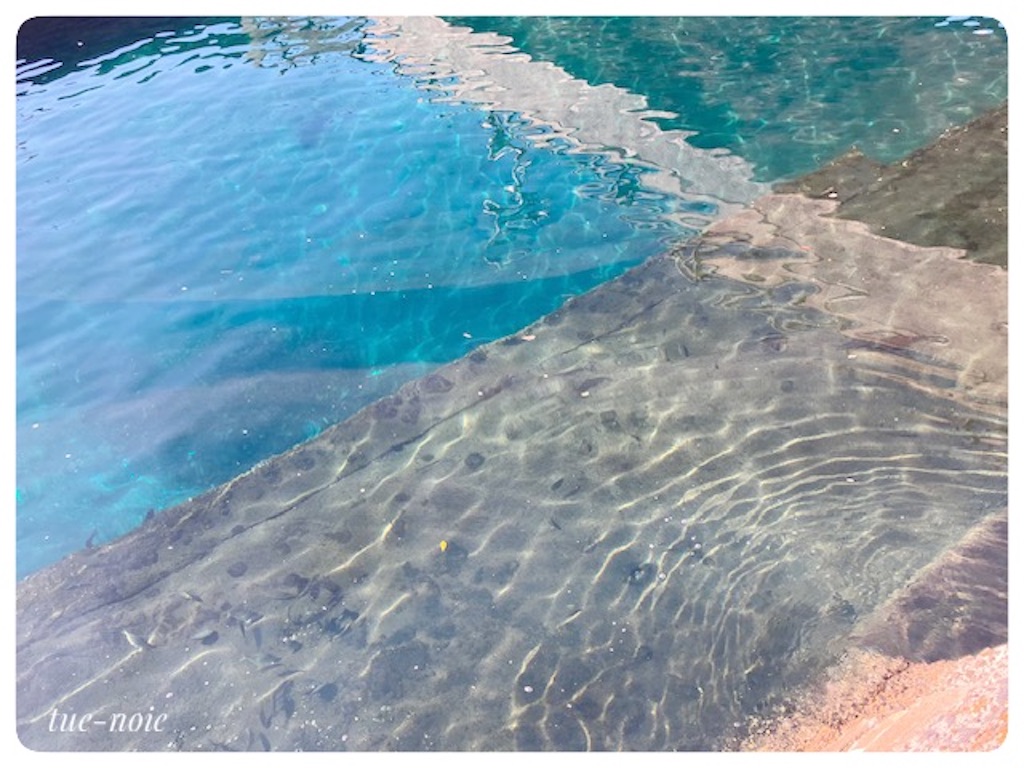 f:id:tueko:20230815143940j:image