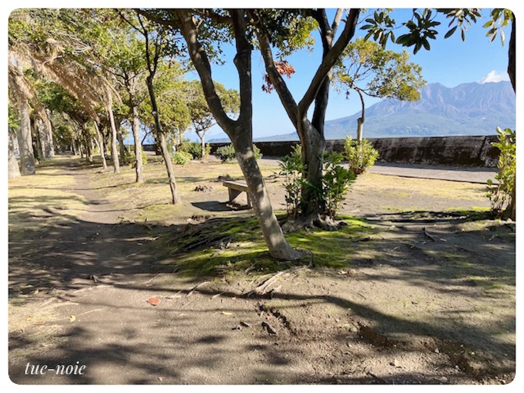 f:id:tueko:20230815143955j:image