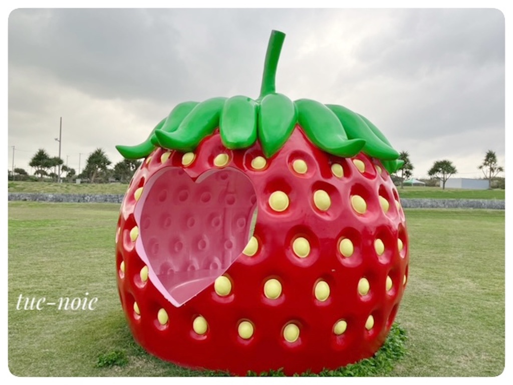 f:id:tueko:20240125213620j:image