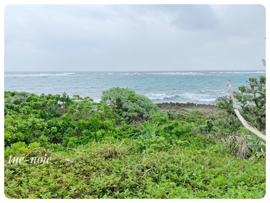 f:id:tueko:20240125214138j:image