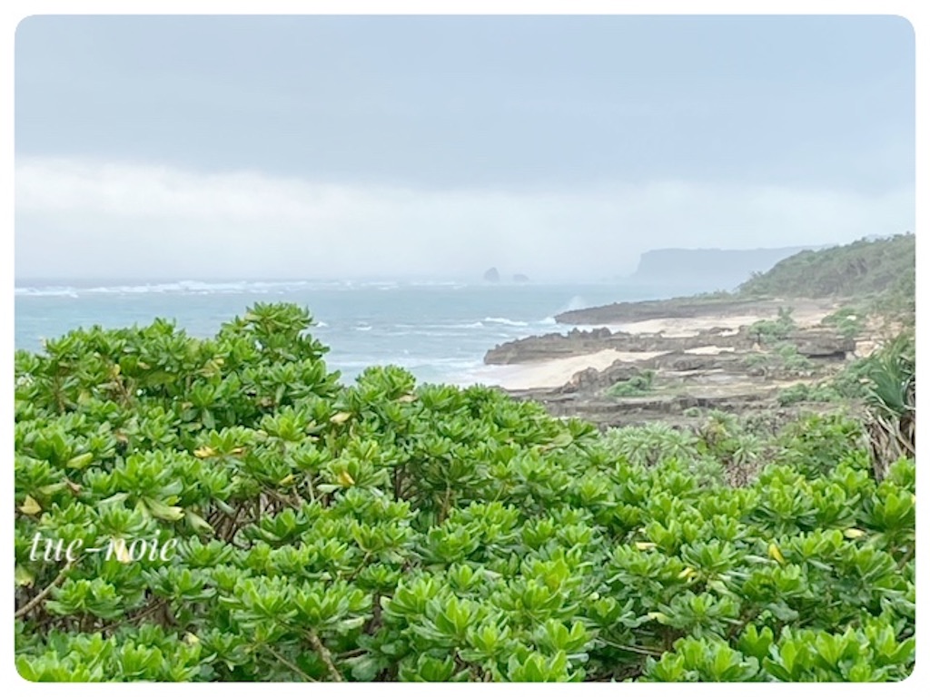 f:id:tueko:20240125214151j:image