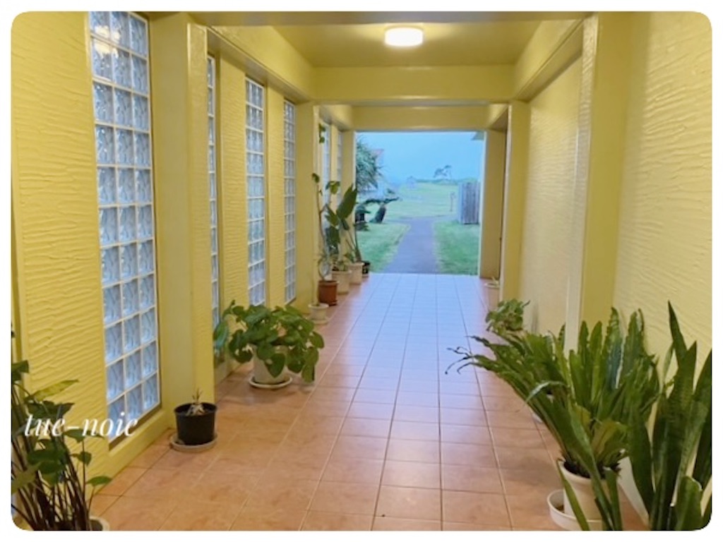 f:id:tueko:20240125215023j:image