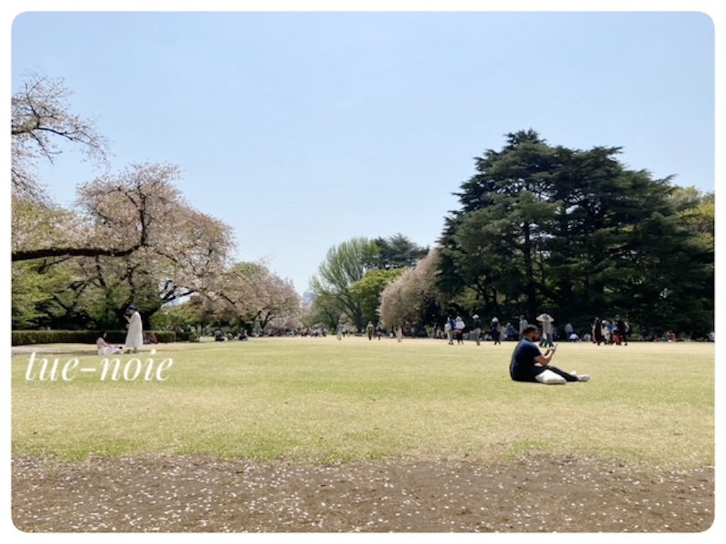 f:id:tueko:20240419204500j:image f:id:tueko:20240419204500j:image