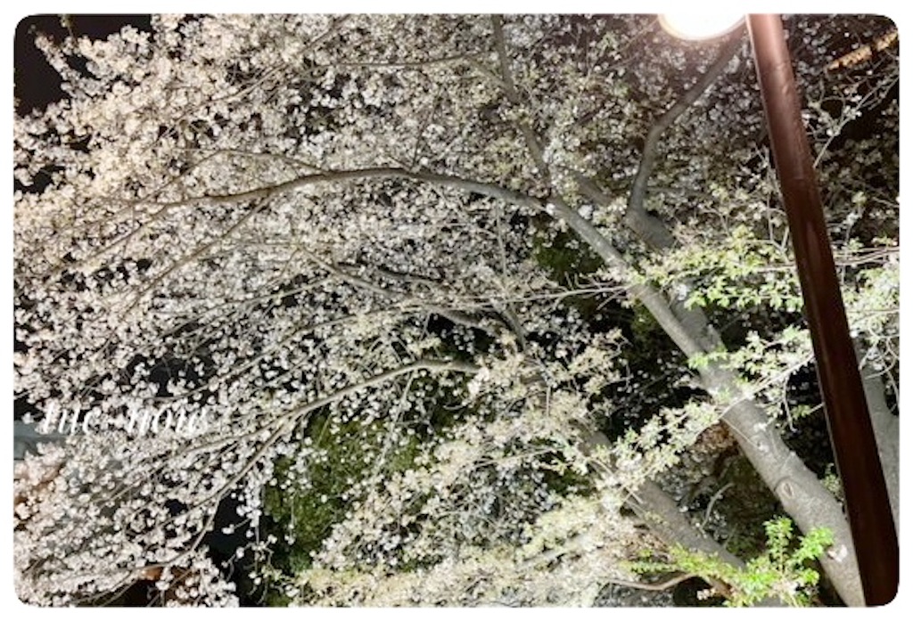 f:id:tueko:20240419223854j:image f:id:tueko:20240419223854j:image