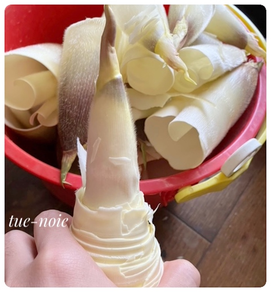 f:id:tueko:20240508190416j:image