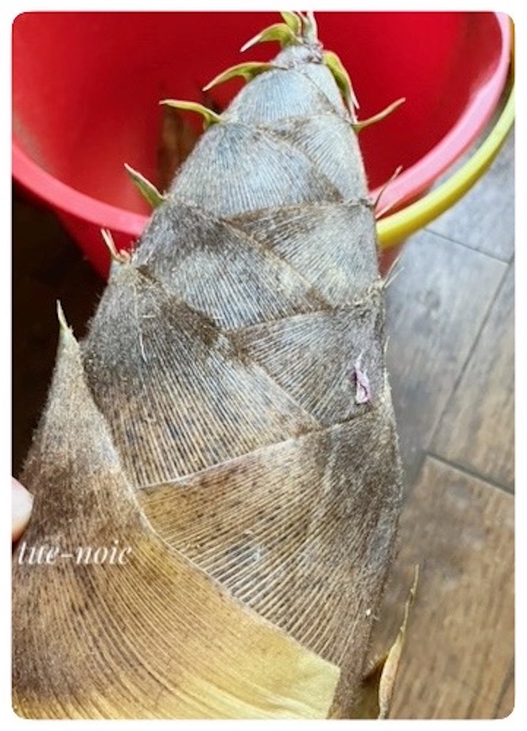 f:id:tueko:20240508190419j:image