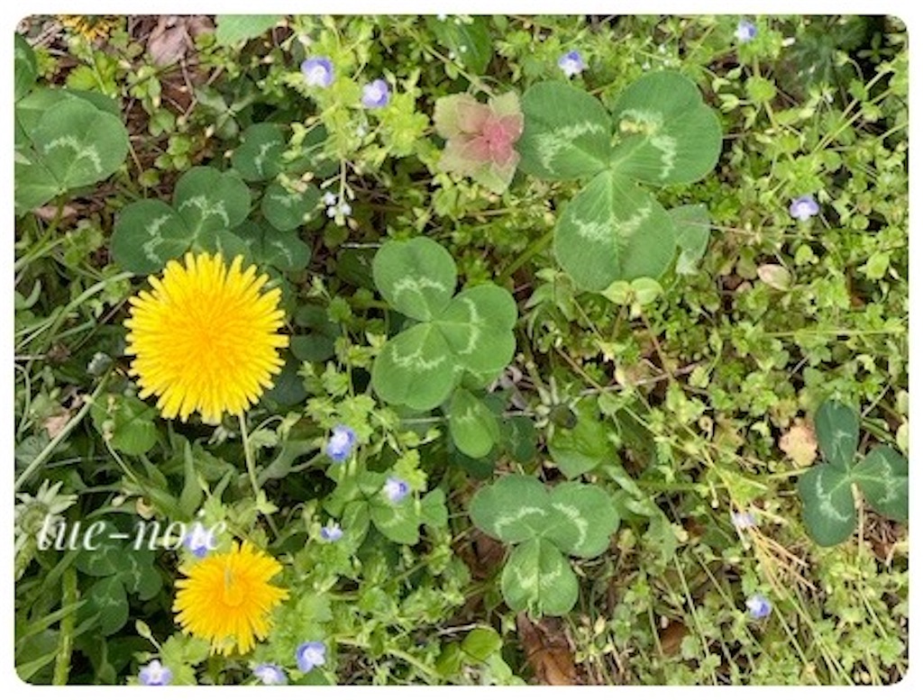 f:id:tueko:20240508190429j:image