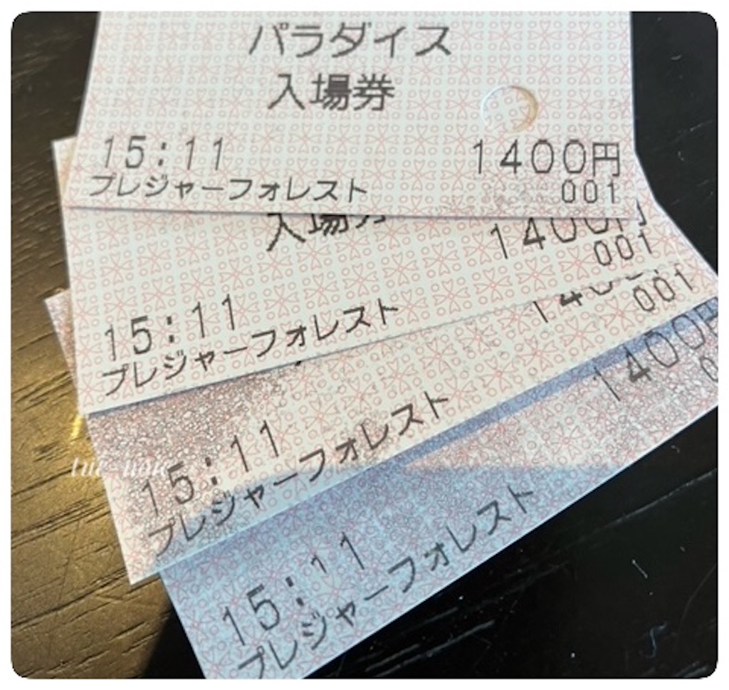 f:id:tueko:20240601190433j:image