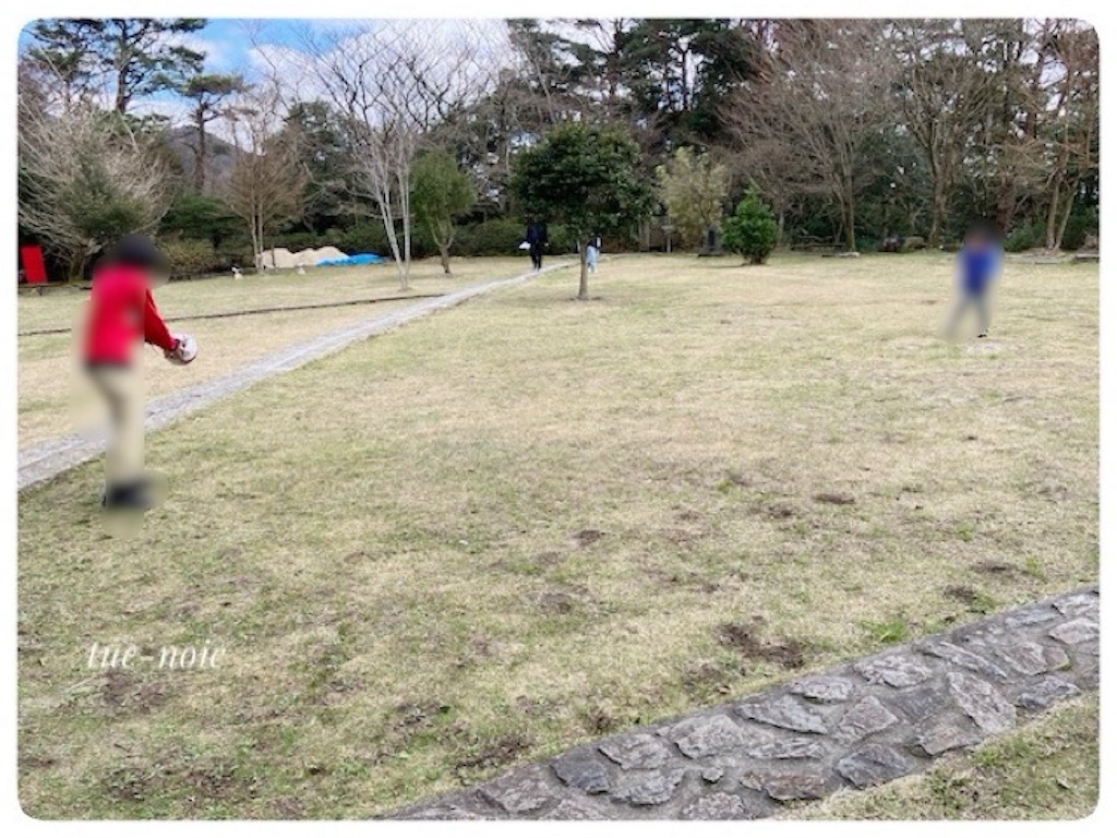 f:id:tueko:20240609215138j:image f:id:tueko:20240609215138j:image