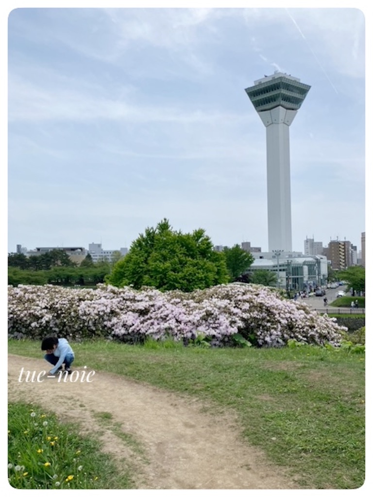 f:id:tueko:20240727093659j:image