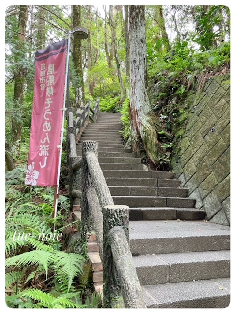 f:id:tueko:20240905220845j:image